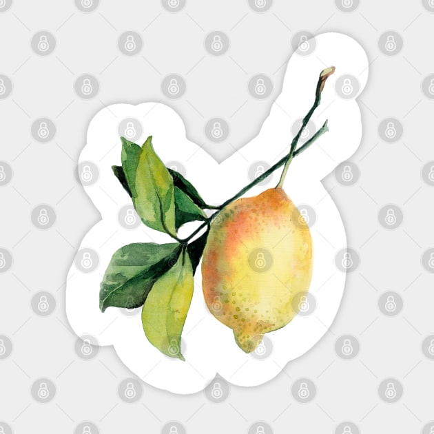 Branch of lemons with leaves Sticker by Olga Berlet